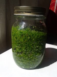 11180618_1147387545277771_8575437399157906731_n