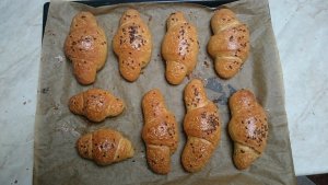 11751780_10206274453954982_8125271177730536719_n